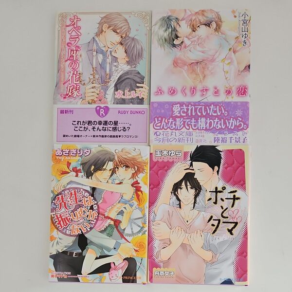 水上ルイ.小宮山ゆき.あさぎり夕.玉木ゆらBL小説4冊セット