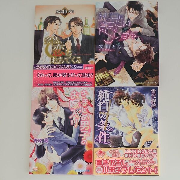 高岡ミズミ.牧山とも.野原滋.雪代鞠絵 BL小説4冊セット