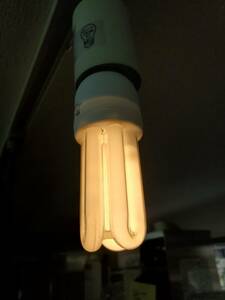 M860-1　未使用品　E26　11W　電球形蛍光灯　電球　蛍光灯　照明　黄色　イエロー　カラー　ライト　20個セット　店舗/業務