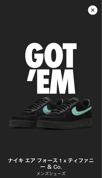 NIKE TIFFANY AIR FORCE1 1837 ナイキ ティファニー エアフォース 1