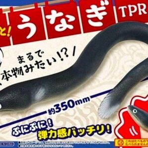 ぷにっとうなぎ TPR おもちゃ