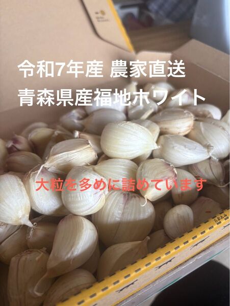 青森県産にんにく 令和7年産(福地ホワイト)サイズ混合1kg農家直送