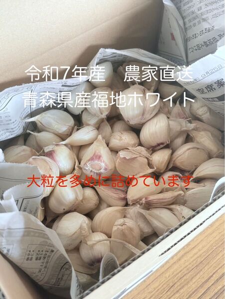 令和7年産 青森県産にんにく(福地ホワイト)サイズ混合1.8kg農家直送