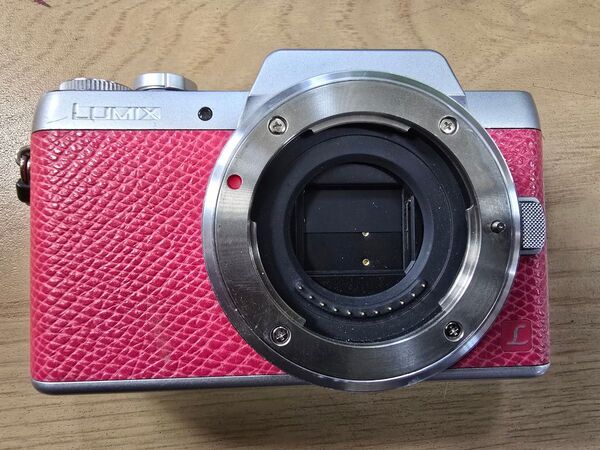 Panasonic LUMIX DMC-GF7