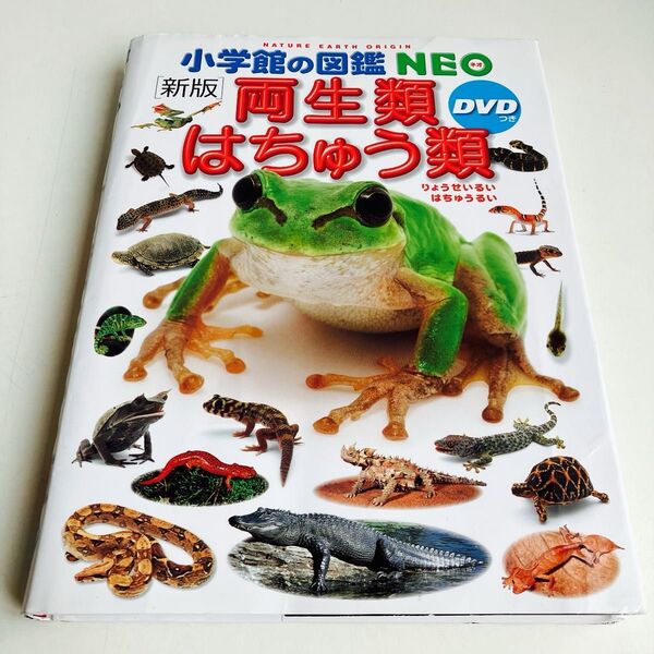 両生類・はちゅう類 (小学館の図鑑NEO 6) (新版) 松井正文/監修・執筆 疋田努/監修・執筆 太田英利/監修・執筆