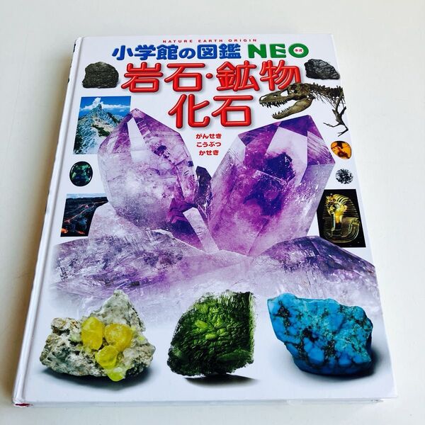 小学館の図鑑NEO 岩石 新版 化石