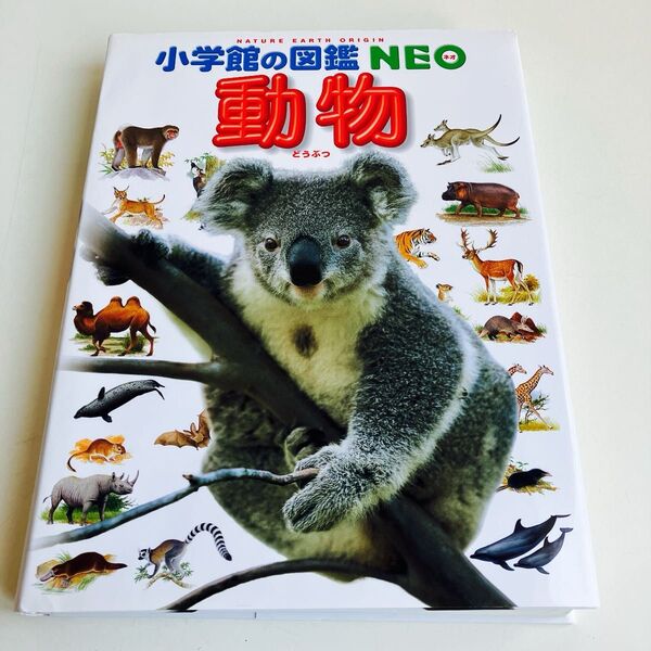 動物 (小学館の図鑑NEO 1) 三浦慎悟/〔ほか〕指導・執筆 田中豊美/ほか画
