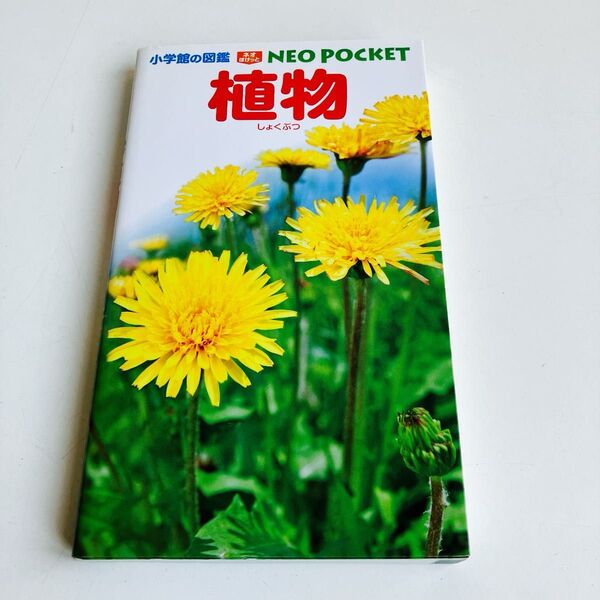 植物 (小学館の図鑑NEO POCKET 2) 和田浩志/監修・執筆 岡田比呂実/指導・執筆 吹春俊光/指導・執筆