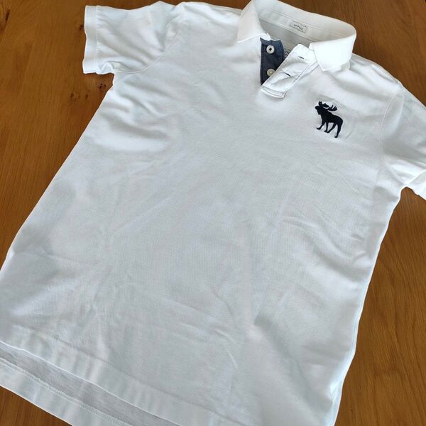 ポロシャツ 半袖 アバクロ Abercrombie & Fitch