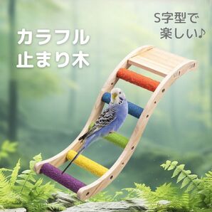 小鳥 インコ 止まり木 はしご 爪とぎ カラフル サンドパーチ ペット 木 鳥かご 遊び オウム アスレチック ケージ用 飼育用品