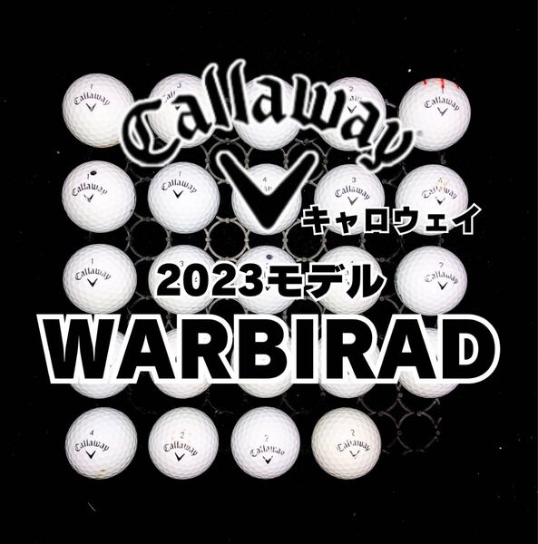 5※2023モデル キャロウェイ WARBIRD ロストボール24球
