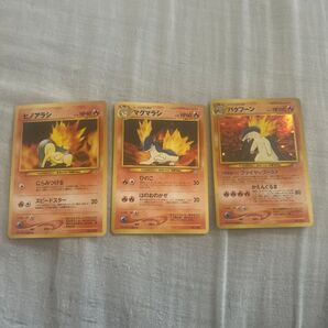 ポケモンカード 旧裏 キラ ヒノアラシ マグマラシ バクフーン 3枚セット