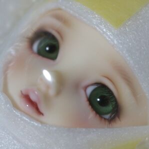 幼天使 椿 フルセット