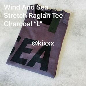 ロイヤルオファー限定WIND AND SEAウィンダンシーSEA DRY STRETCH RAGLAN TEE厚手ドライTシャツ