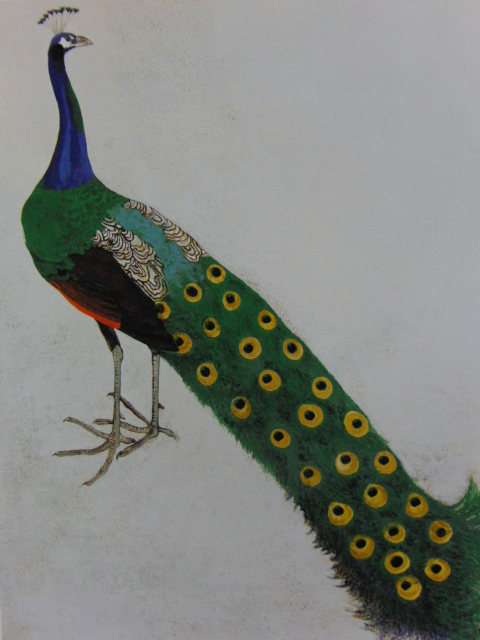 Daiji Hamada, 【pavo real】, De un raro libro de arte enmarcado., Nuevo con marco, Buen estado, gastos de envío incluidos, esca, cuadro, pintura al óleo, dibujo de animales