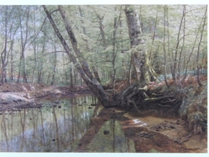 Peder Monsted、Forest landscape with river、希少画集より、新品額装付、iafa