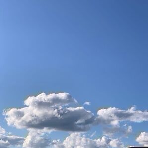 お問い合わせ用