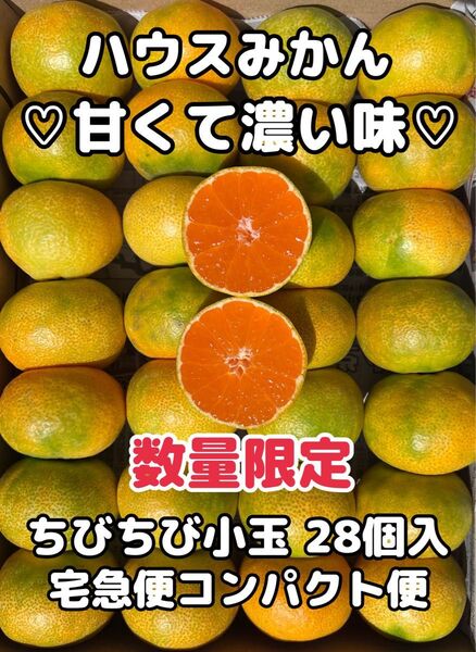 愛媛県産 ちびちび小玉 ハウスみかん 宅急便コンパクト便 果物 柑橘