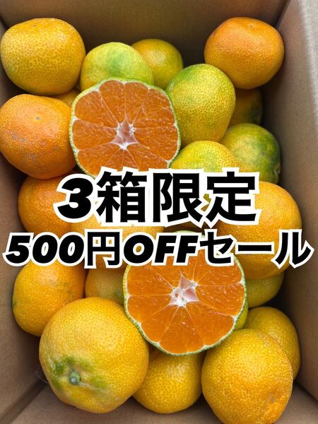 愛媛県産 家庭用 ハウスみかん 箱込 3kg 果物 柑橘
