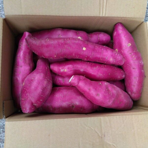 宮崎さつまいもホクホクタイプ3kg