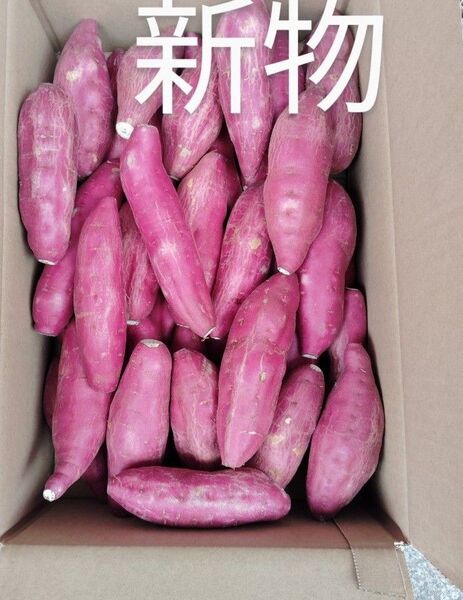 宮崎さつまいもホクホクタイプ5kg