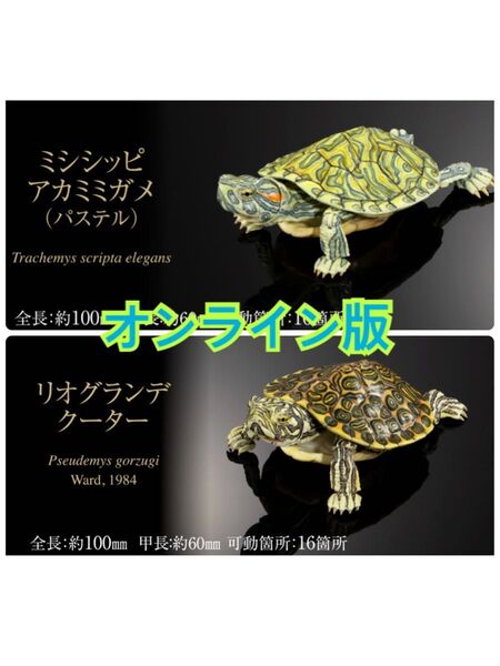 いきもの大図鑑 アドバンス カメ02 2種セット