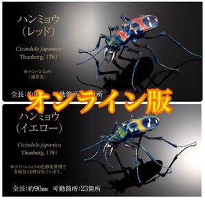 いきもの大図鑑 アドバンス ハンミョウ2種セット
