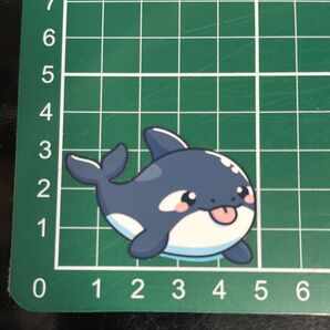 シャチ ステッカー
