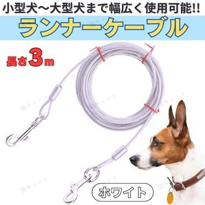 犬 ランナーケーブル 保留リード 小型犬 中型犬 大型犬 対応 3m 防水 反射 高強度 散歩 しつけ用 ワイヤーリード ホワイト
