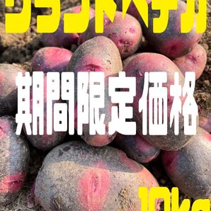 じゃがいもグランドペチカ10kg