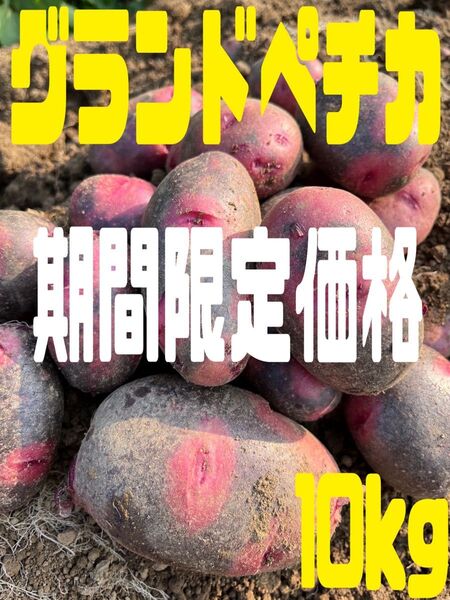 じゃがいもグランドペチカ10kg