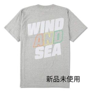 新品未使用タグ付き WIND AND SEA ジューシーフルーツ 刺繍 Tシャツ グレー