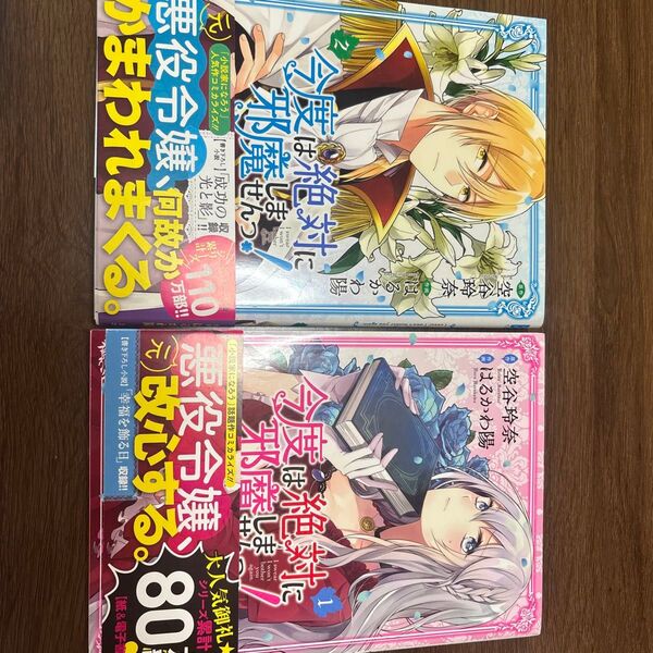 今度は絶対邪魔しません!