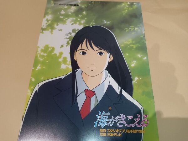 海がきこえる 復刻 パンフレット 新品未読品 ジブリ 映画