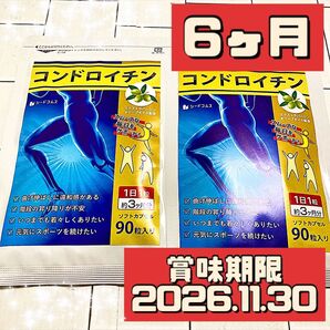 シードコムス コンドロイチン サプリメント 6ヶ月