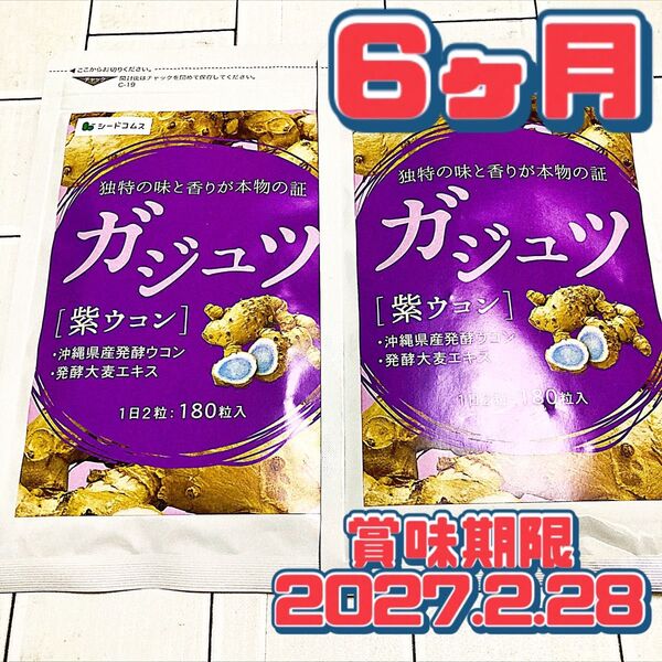 ガジュツ サプリメント 6ヶ月