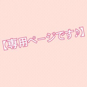 【専用ページです】〈SALE品につき再販不可〉(2380) 可愛いクラゲとシマエナガちゃんのキーホルダーです♪ ハンドメイド