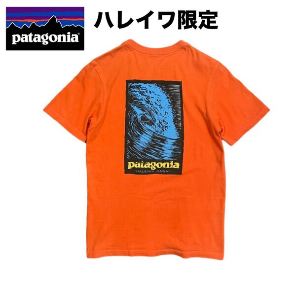 ハワイ廃盤希少 ハレイワ限定 patagonia メンズ Tシャツ ヴィンテージ パタゴニア