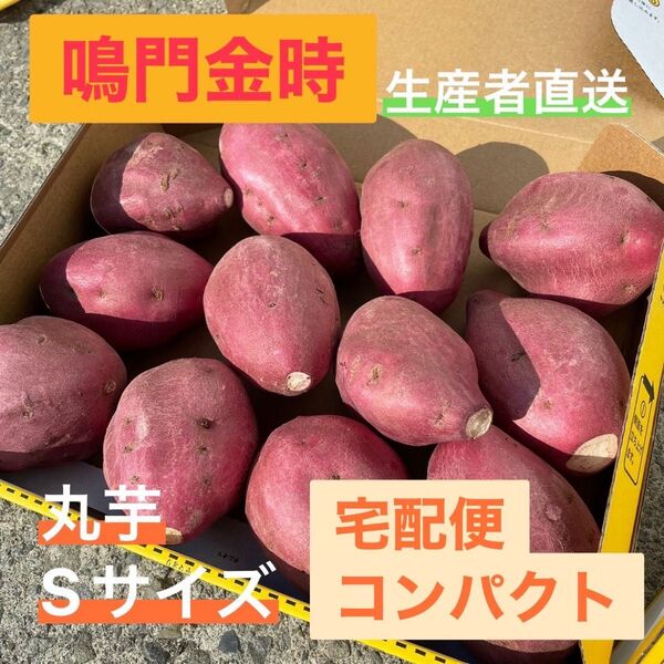 鳴門金時 丸芋 Sサイズ 宅配便コンパクト1.4kg前後