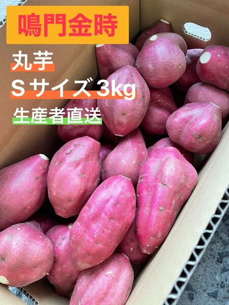 鳴門金時 丸芋 Sサイズ 3kg