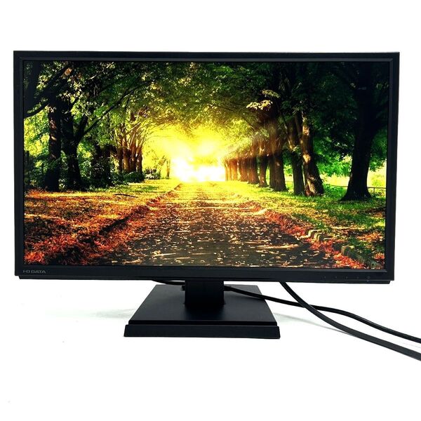 【PCモニター】I-O DATA 21.5型 LCD-DF221EDB スピーカー内臓 梱包丁寧 当日発送