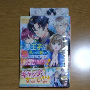 黒王子は私にだけ厳しい?異世界の聖女に選ばれたら、美形王子様たちから溺愛されるようになりました!1土乃エイチ/漫画 nori.原作