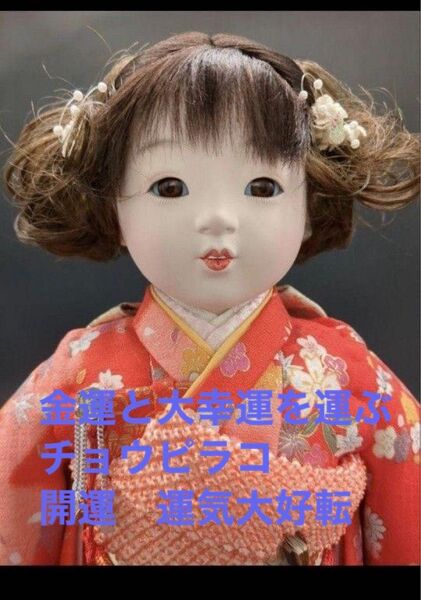 25ウ62 特級呪物 金運と大幸運を運ぶチョウピラコ座敷童子様 開運 運気大好転
