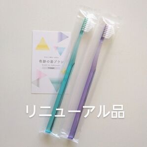 奇跡の歯ブラシ 大人用 2本〈ミントブルー1・パープル1〉持ち手三角リニューアル品!