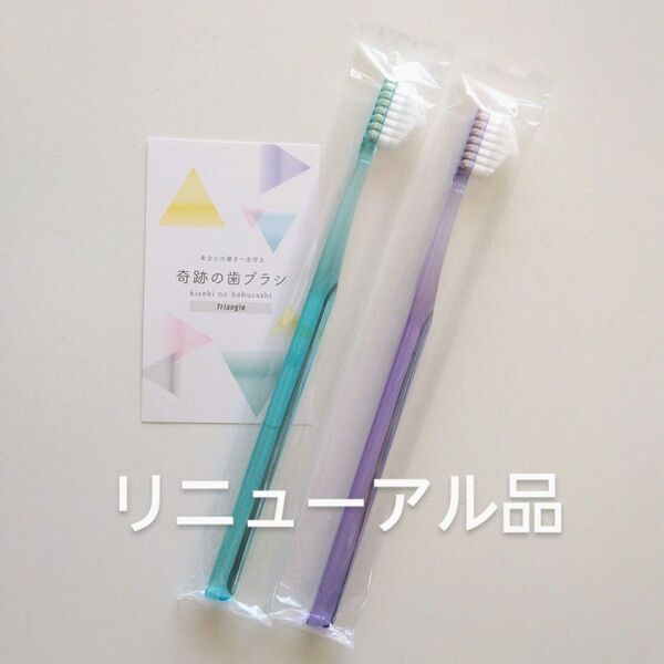 奇跡の歯ブラシ 大人用 2本〈ミントブルー1・パープル1〉持ち手三角リニューアル品!