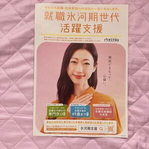 壇蜜 厚生労働省 就職氷河期世代活躍支援 フライヤー