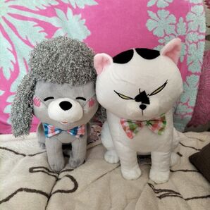 犬と猫どっちも飼ってると毎日たのしい ぬいぐるみ セット