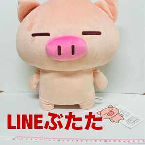 LINE キャラクター「ぶたた」ぬいぐるみ M