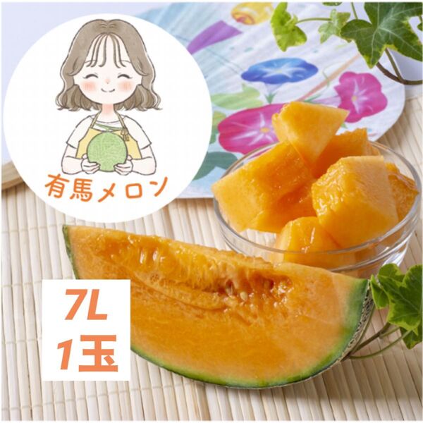 【県知事賞受賞】有馬温泉の麓産 特秀品 赤肉メロン 最高等級7L 1玉|農薬節約栽培 兵庫県産【お中元・夏ギフトにも】