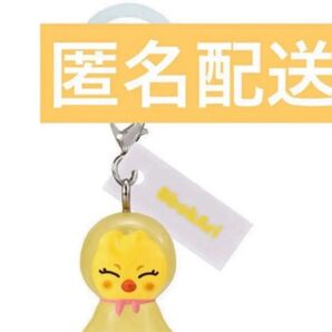 スキズ SKZOO めじるし ガチャ ポガリ フィリックス StrayKids めじるしアクセサリー
